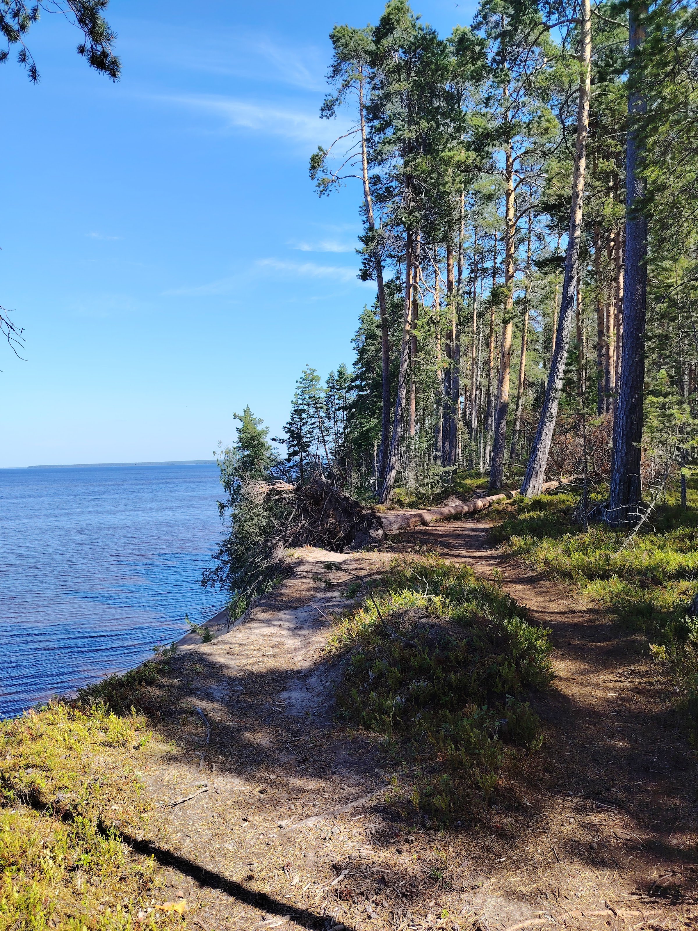 Makkaraniemi Trail (Manamansalon Makkaraniemen reitti)